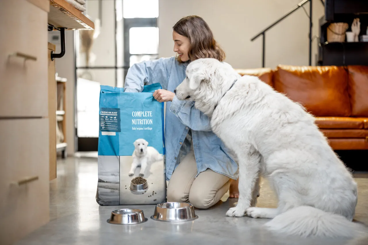 Woman feeds a dog with dry food at home