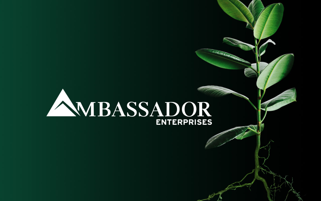Ambassador Enterprises - Plant